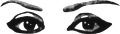 eye